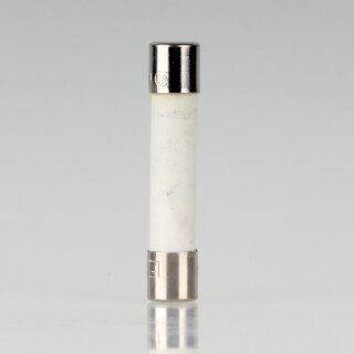 12A Keramiksicherung 6,3x32mm 250V/1200mA flink für Mikrowelle