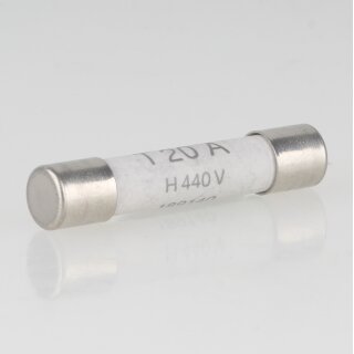 20A Keramiksicherung 6,3x32mm 440V/2000mA träge für Mikrowelle
