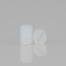 M3 Madenschraube DIN 551 Kunststoff Natur Länge 4mm