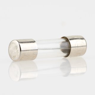 0.1A Feinsicherung 5x20mm 250V 100mA träge