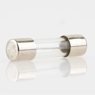 2,5A Feinsicherung 5x20mm 250V 2500mA träge